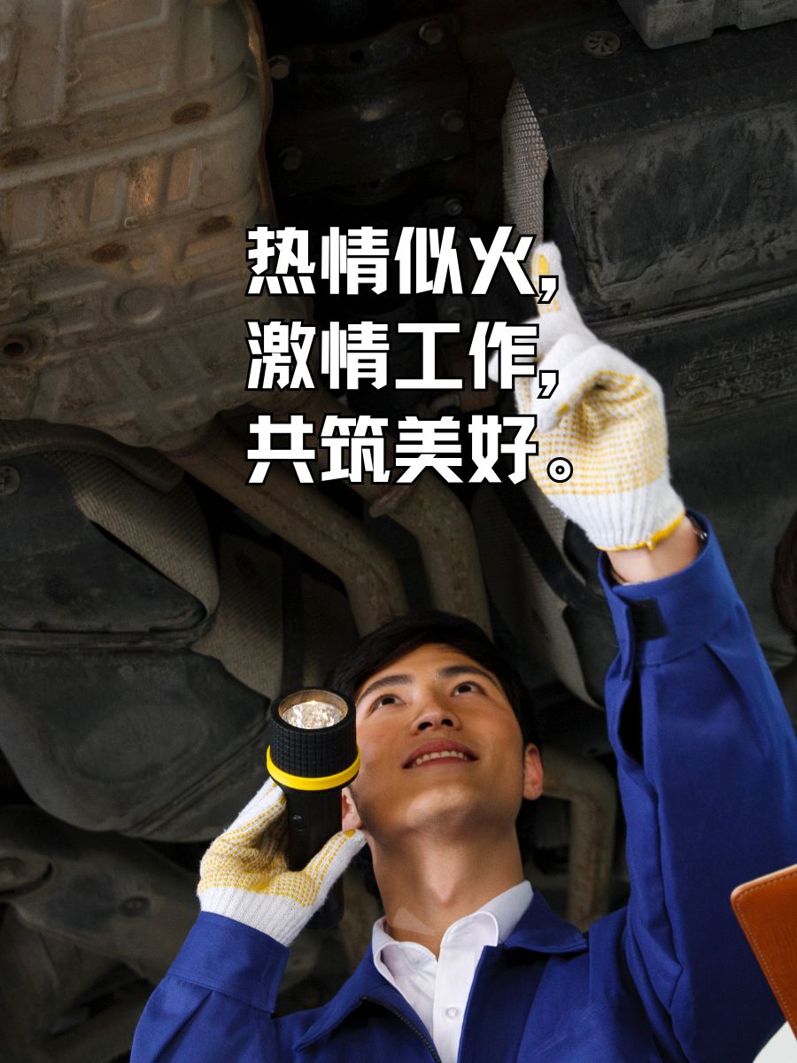 关于共同的梦想:车手与团队的拼搏瞬间的信息 关于共同的梦想:车手与团队的拼搏瞬间的信息