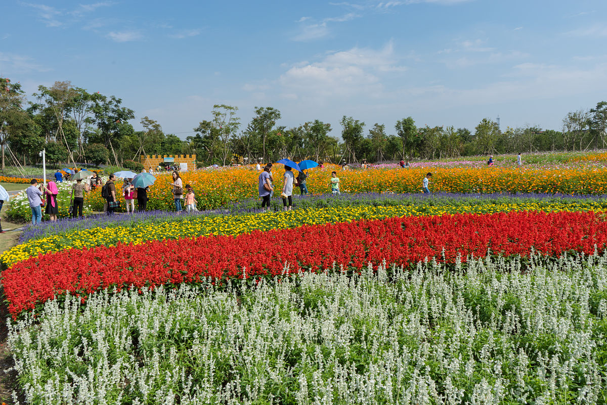 乐鱼体育移动版-&quot;春季花海：在花园中举行的浪漫赛事&quot;的简单介绍