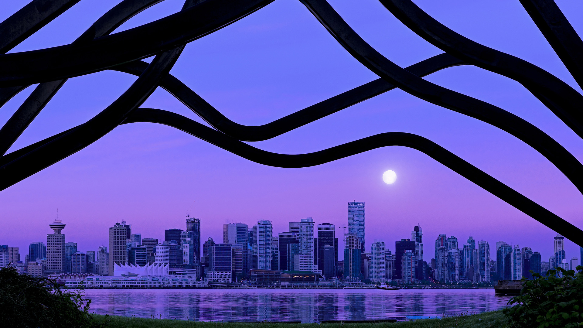 悉尼国王主场表现抢眼，悉尼国王队名单