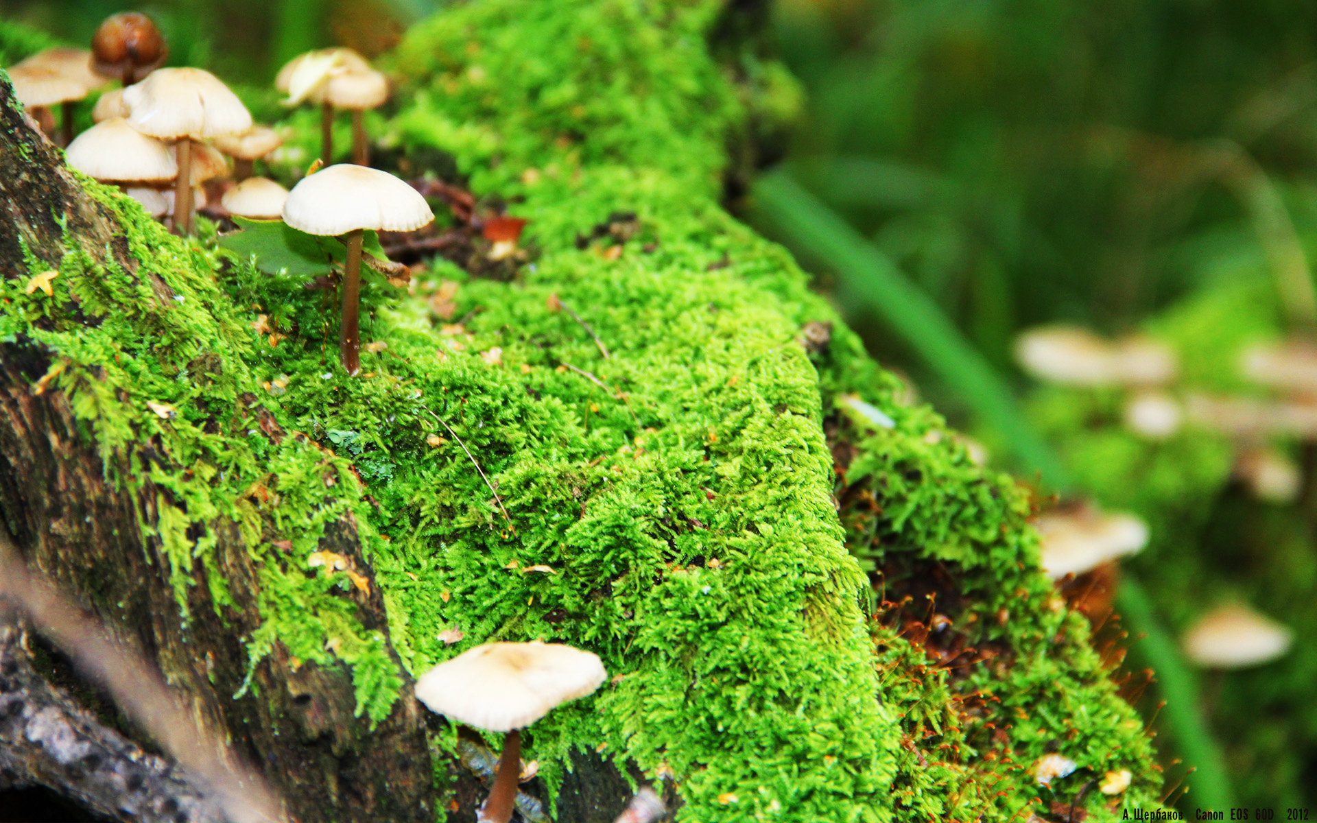 日本球员展现出色个人技术，日本职业球员