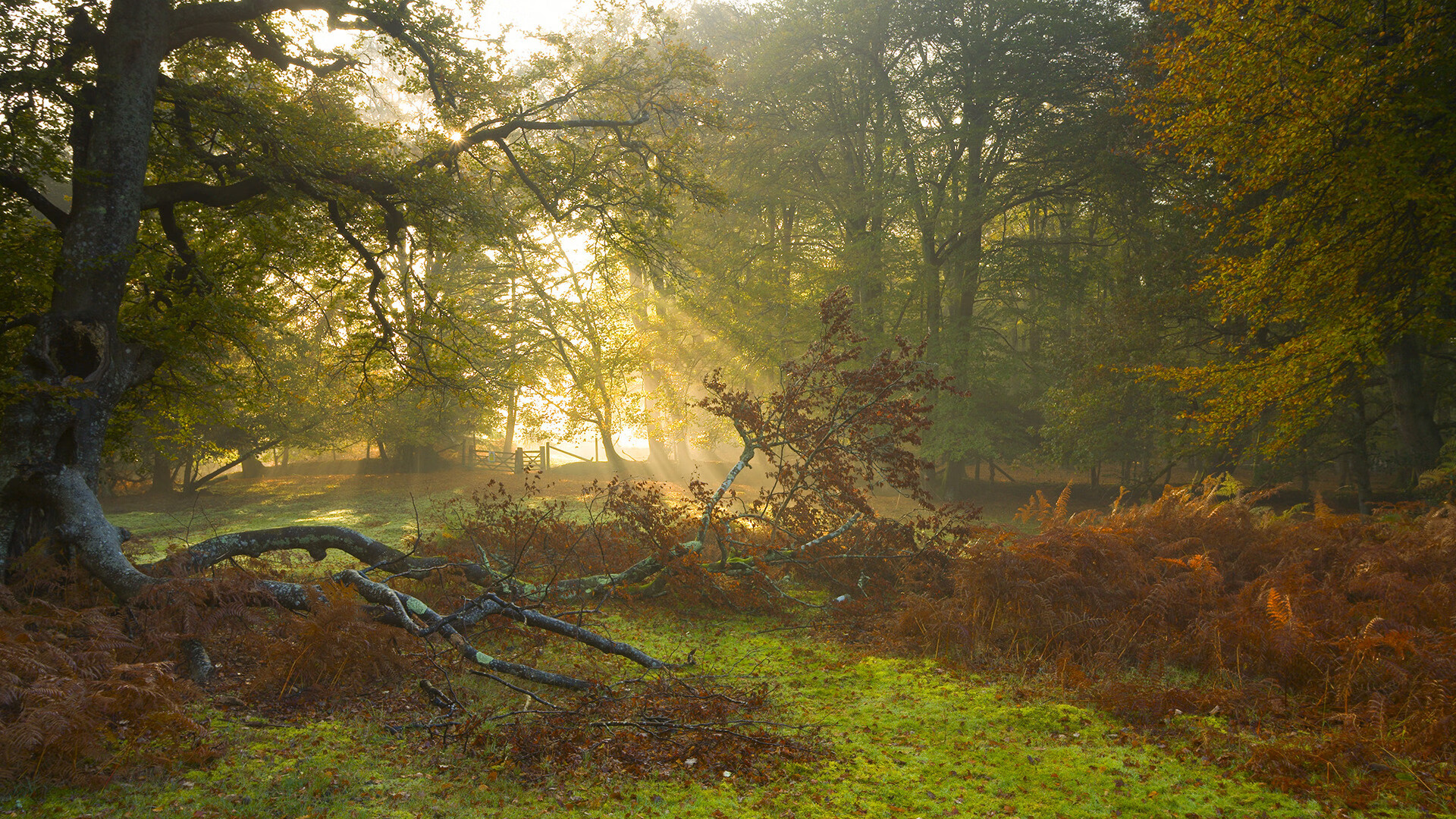 Leyu Sports APP下载-球场明星惊艳登场，展现个人魅力，球场名场面