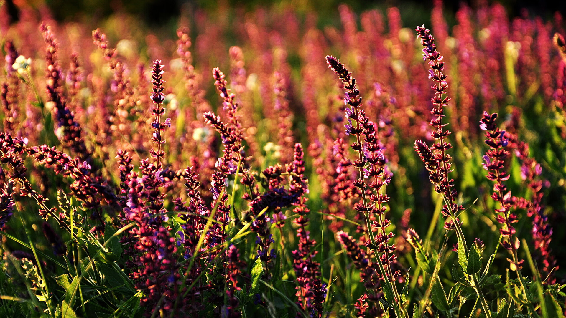 球员技术统计出炉，评估个人能力，球员综合能力评估表