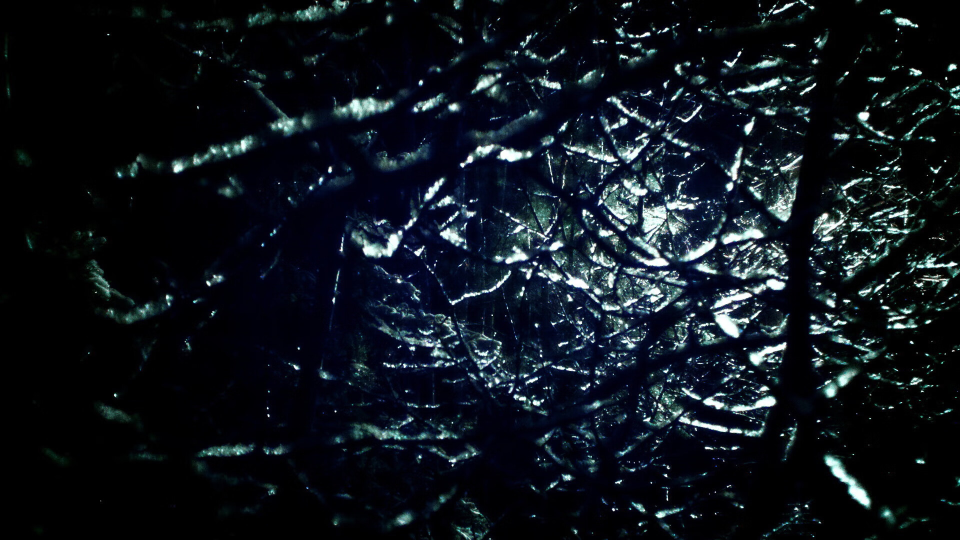 里昂主场连胜告终，失去领先优势，里昂连冠