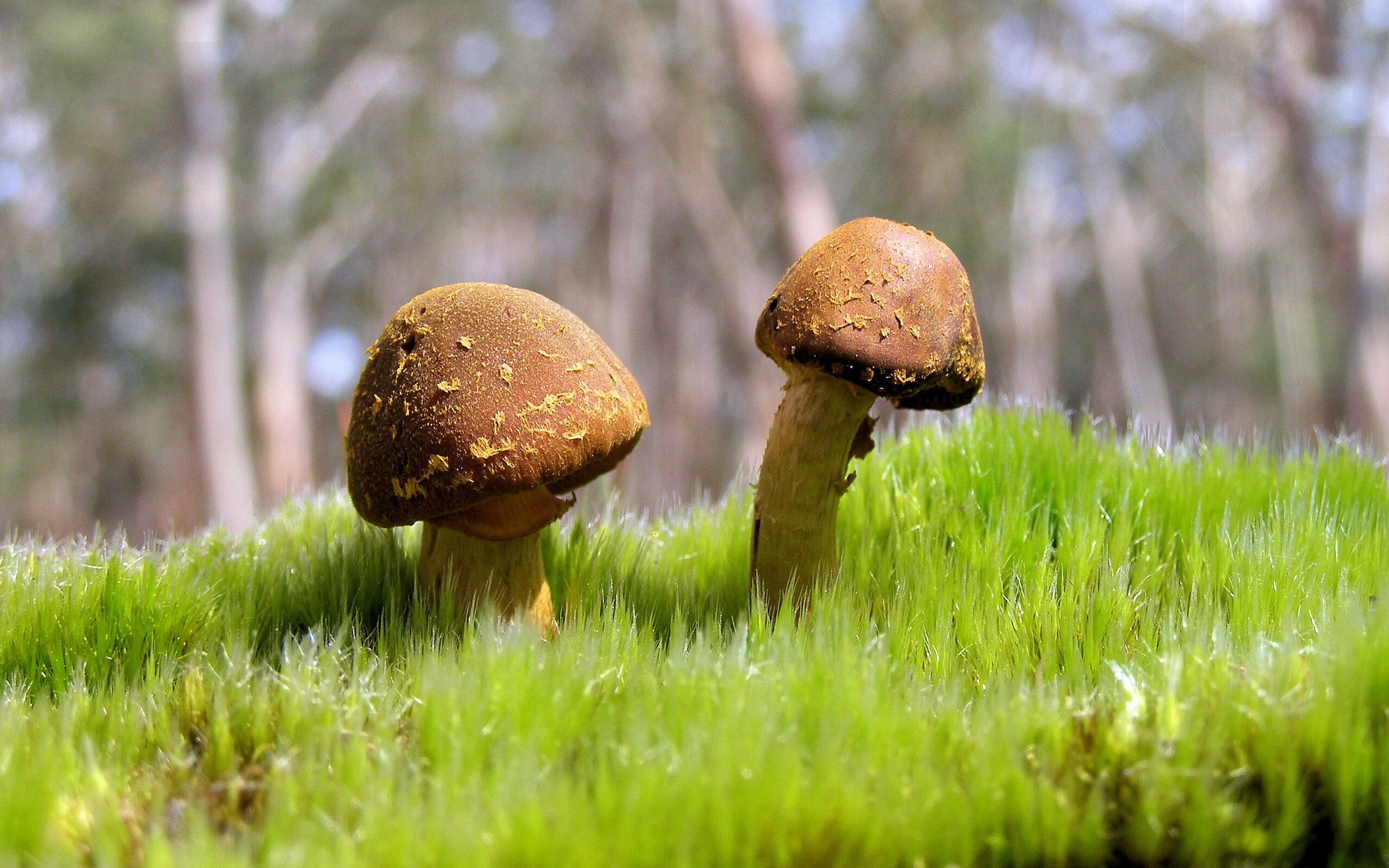 青年球员流失是否因发展路径不清晰，年轻人球队比赛