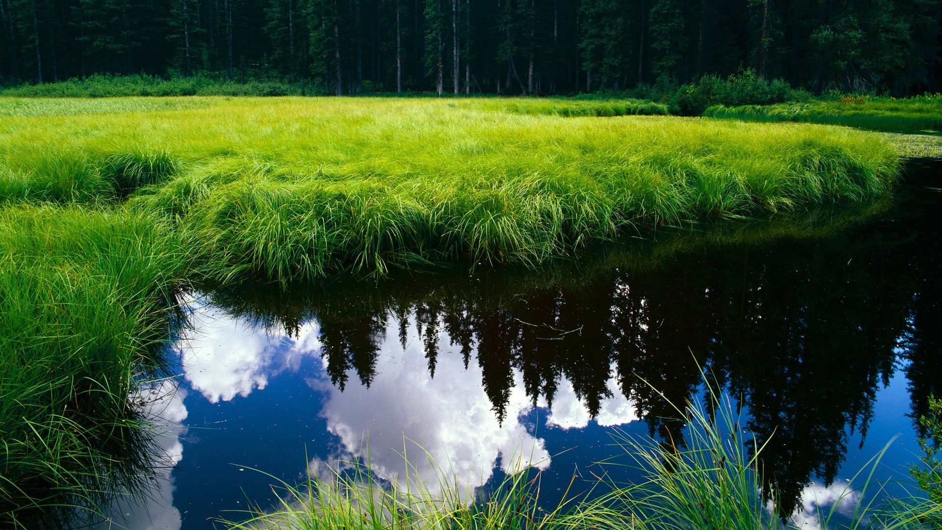 巴黎圣日耳曼继续领跑法甲,夺冠形势一片光明