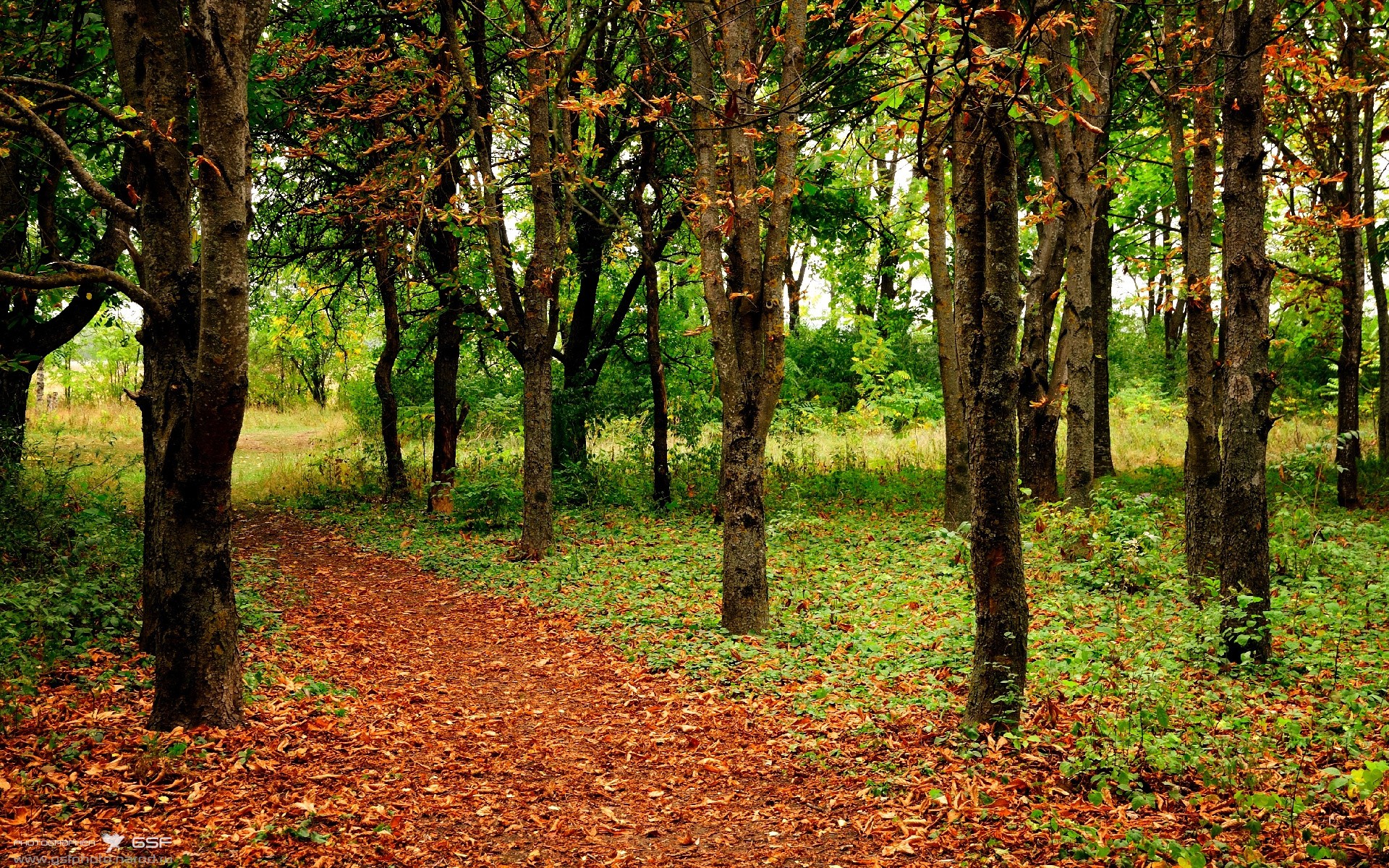 乐鱼体育iOS版-青少年足球技能线上大赛吸引大量年轻玩家参与，激发运动热情，2021青少年足球比赛报名